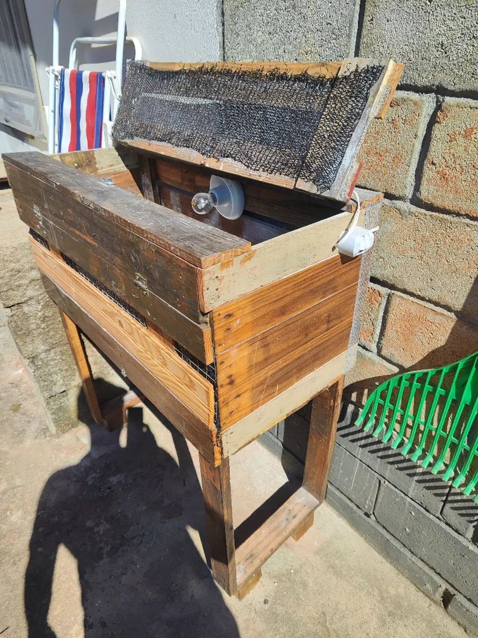 Pinteiro Para Pintinhos e Codornas - Foto 4