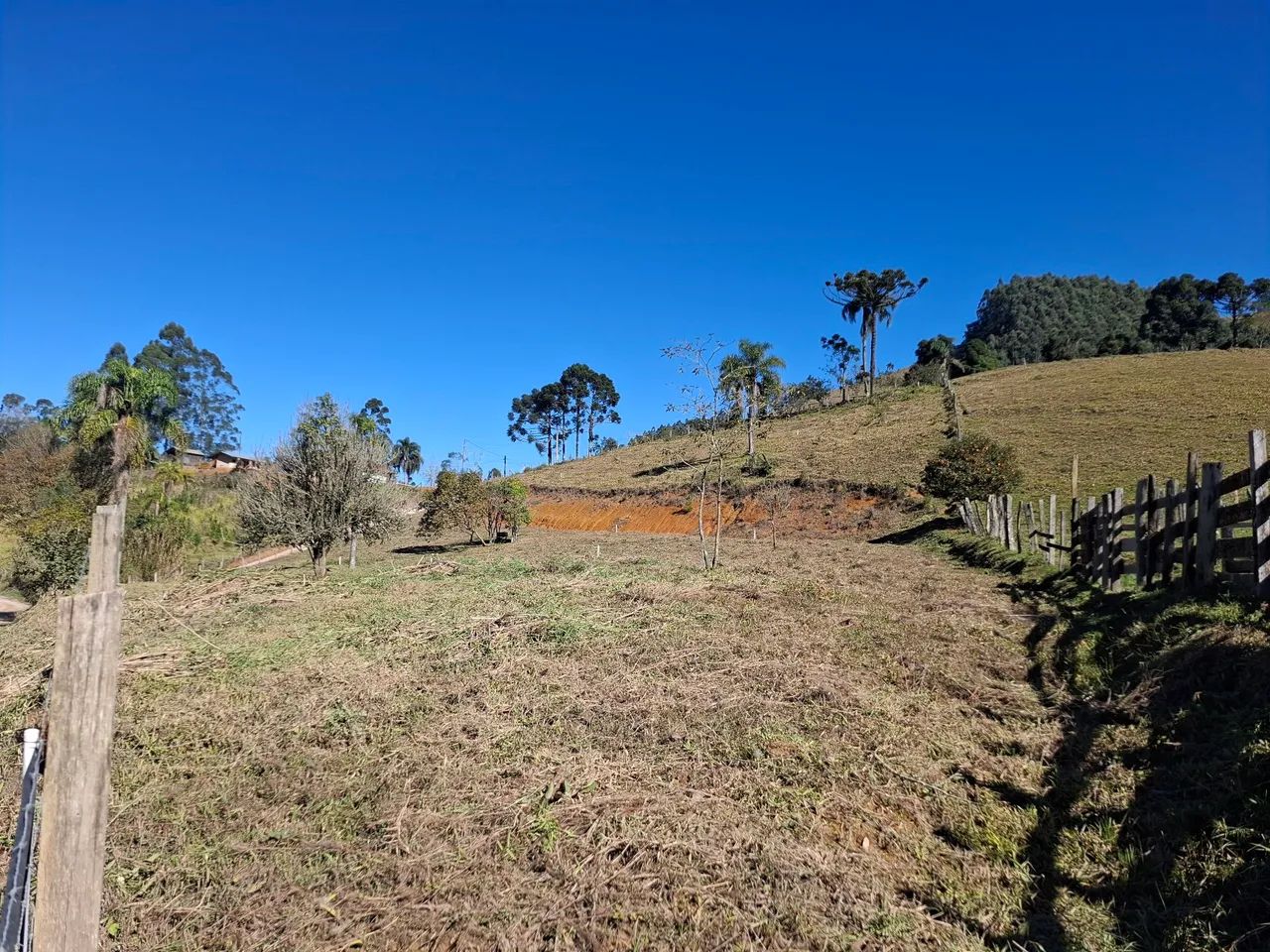 Vendo terreno em São Bonifácio. 1148m2 - Foto 3