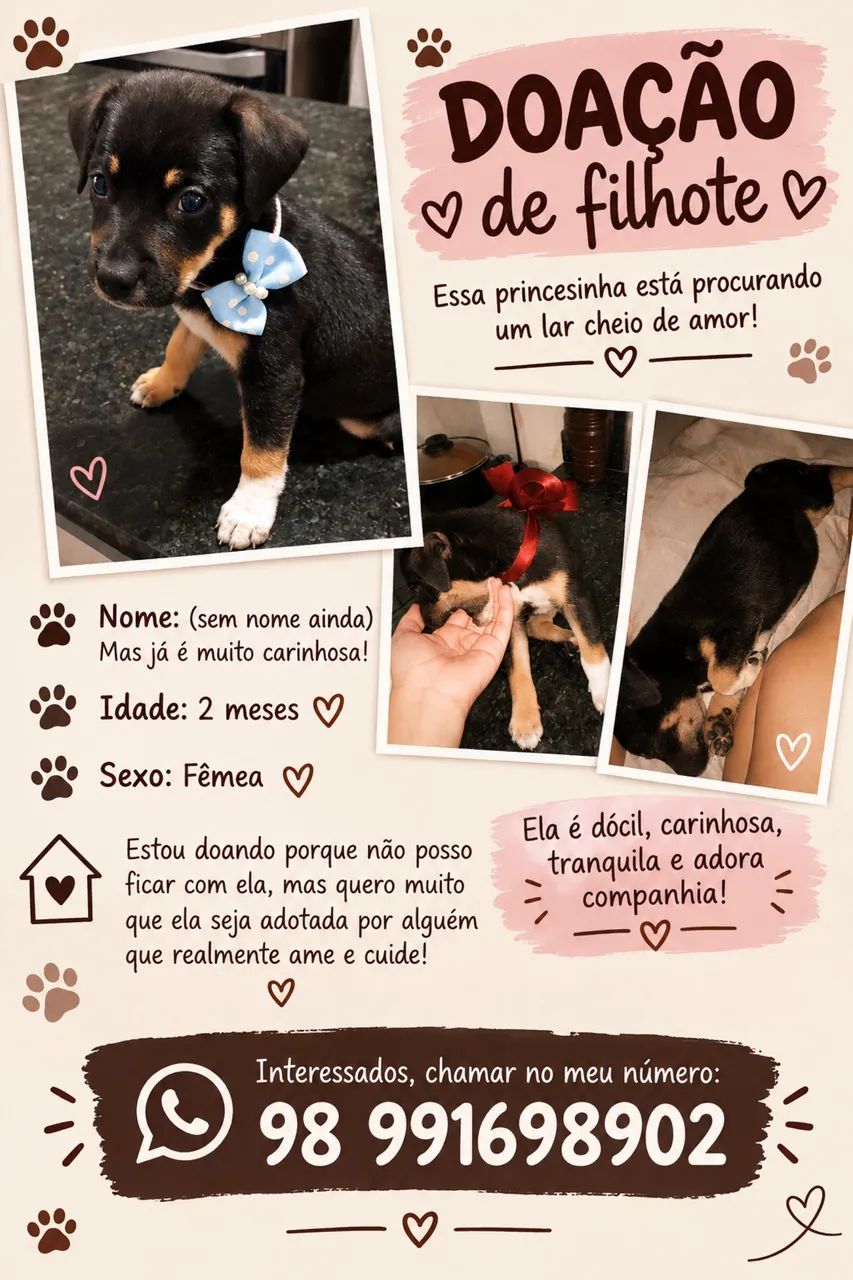 Doação de pet