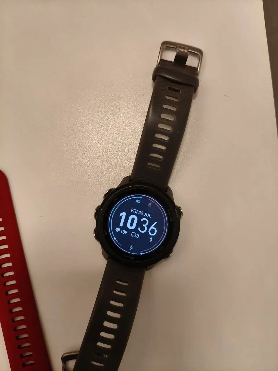 Garmin 245
