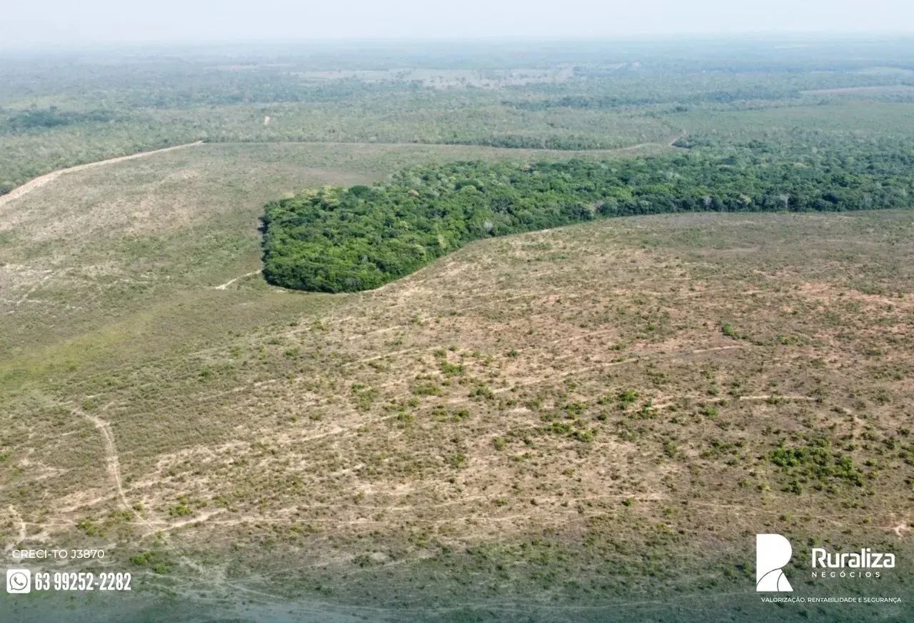 Fazenda em Pedro Afonso - TO - Foto 2