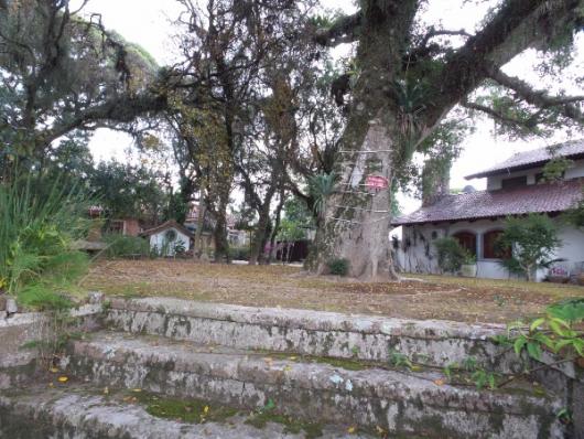 Casa à venda com 3 dormitórios em Ipanema, Porto alegre cod:364000 - Foto 2