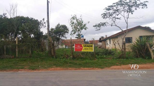 Terreno à venda, 1062 m² por r$ 450.000,00 - borda do campo - são josé dos pinhais/pr - Foto 3