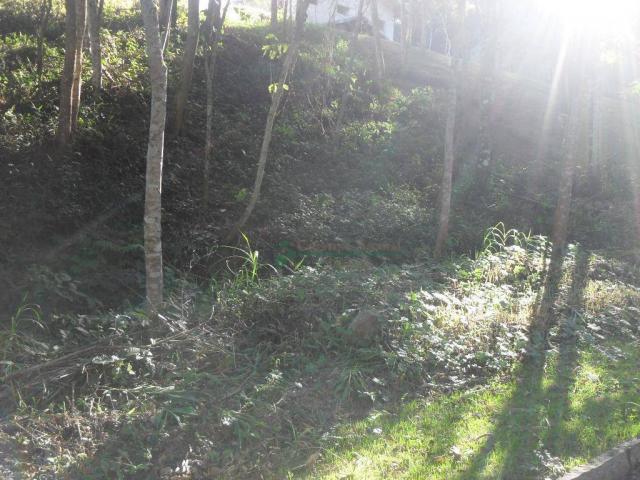 Terreno residencial à venda, Vargem Grande, Teresópolis. - Foto 19