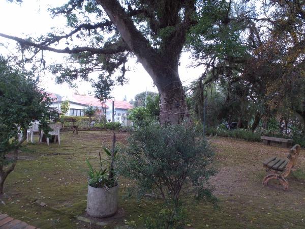 Casa à venda com 3 dormitórios em Ipanema, Porto alegre cod:364000 - Foto 6