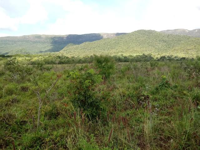 Fazenda de 784,77 hectares ha 140 km de Cuiabá em Rosário Oeste MT - Foto 13