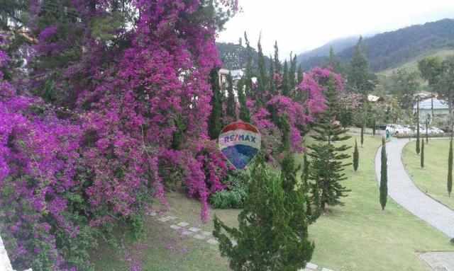 Excelente Terreno no Melhor Condomínio de Teresópolis. - Foto 4