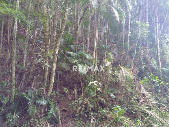 Terreno à venda, 3020 m² por R$ 56.000 - Fazenda Boa Fé - Teresópolis/RJ - Foto 3