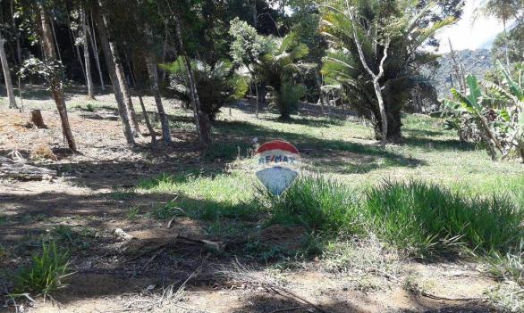 Excelente Terreno no Melhor Condomínio de Teresópolis. - Foto 11