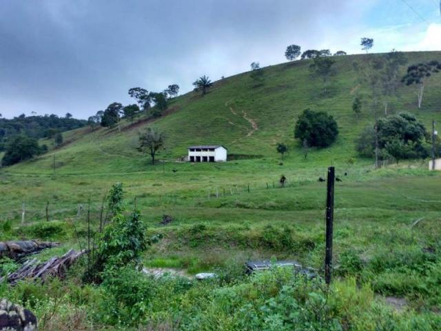 Fazenda para venda em maraial, maraial - Foto 7