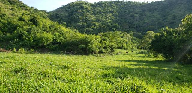 Fazenda 20 alqueires em São Jose Safira / MG - Foto 18