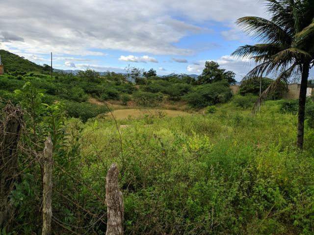 Excelente Propriedade em Belo Jardim, 7,5 hectares - Foto 10