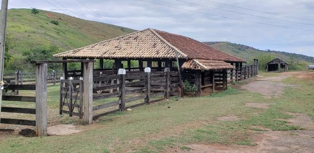 Fazenda 12 alqueires em Governador Valadares/MG