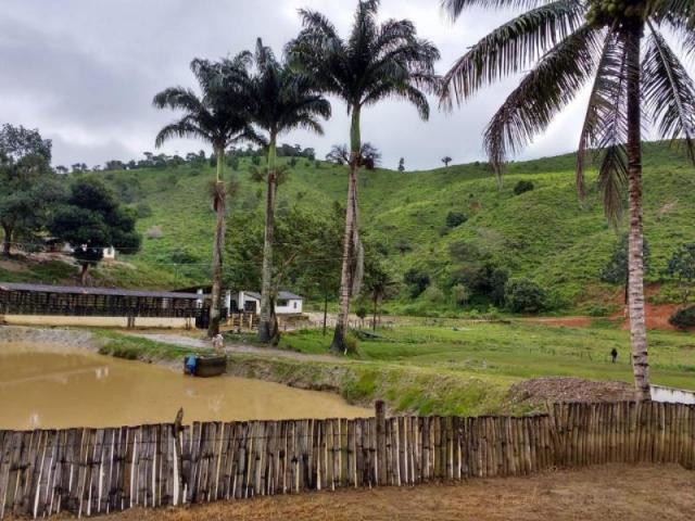 Fazenda para venda em maraial, maraial - Foto 8