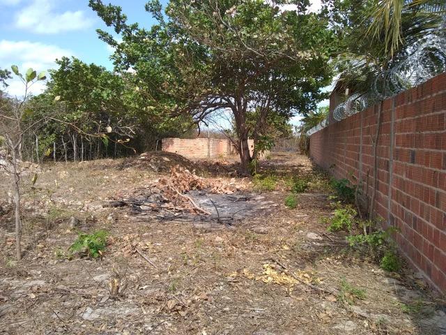 Terreno na baixa da carnaúba no km16 Parnaíba PI - Foto 2