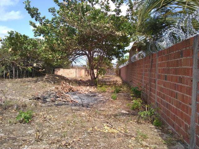 Terreno na baixa da carnaúba no km16 Parnaíba PI - Foto 4