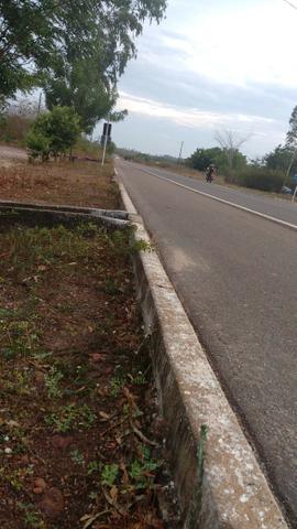 Terreno na baixa da carnaúba no km16 Parnaíba PI - Foto 3