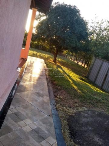 Chácara à venda com 3 dormitórios em Planalto serra verde, Itirapina cod:7810 - Foto 10