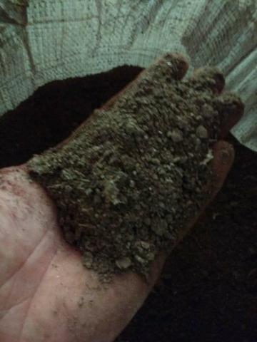 Cama de Frango / Adubo Orgânico / Esterco de Galinha / Adubo para Horta - Foto 4
