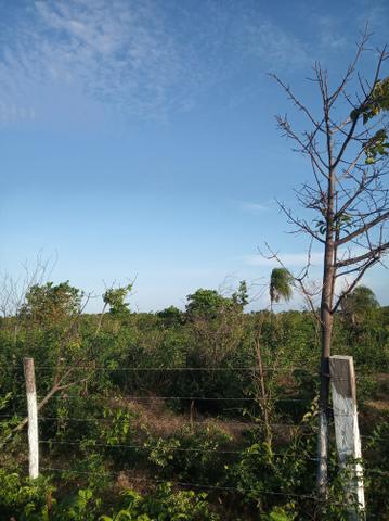 Vendo terreno