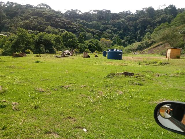 Chácara 30.000 metros em Domingos Martins - Foto 3