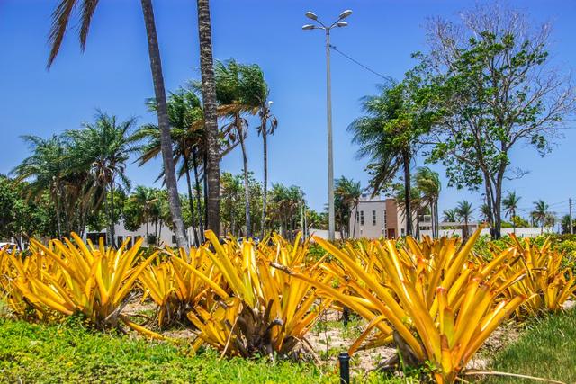 Oportunidade Lotes 390m² no Terras Belas - Foto 14