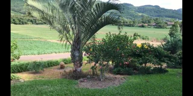 Área de terra de 14ha - Foto 7