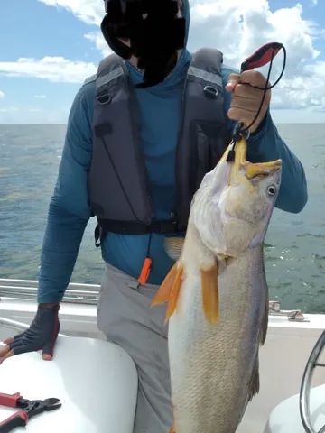 Vende-se lancha Fishing 19 pés, motor Yamaha 115 hp novo (2023) - Foto 2