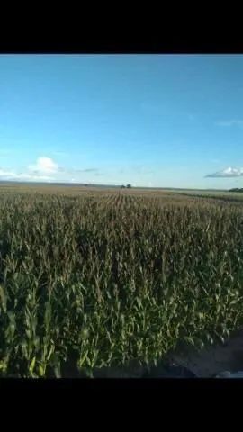 Fazenda de 16 mil hectares no Maranhão  - Foto 5