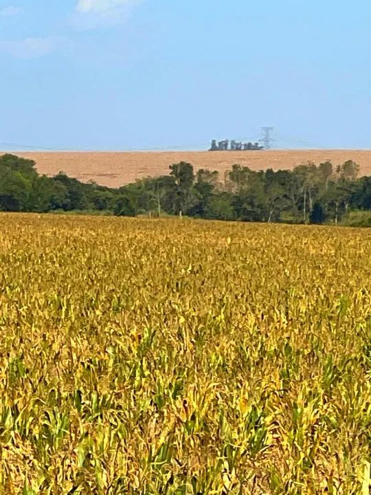 Sítio a venda em Francisco Alves PR. - Foto 4