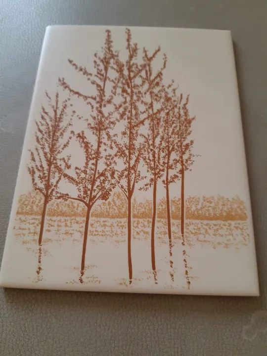 AZULEJOS NOVOS  INCEPA EXTRA. - Foto 4