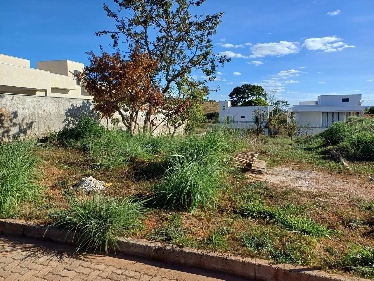 Vendo lote no Alto da Boa Vista. Aceito financiamento. Troco por casa na 26 de setembro. - Foto 3