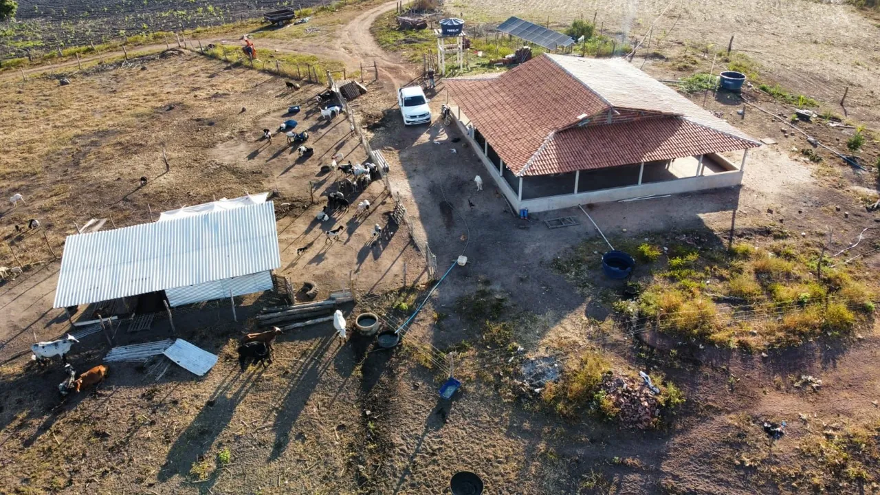 Fazendo de 162 hectares