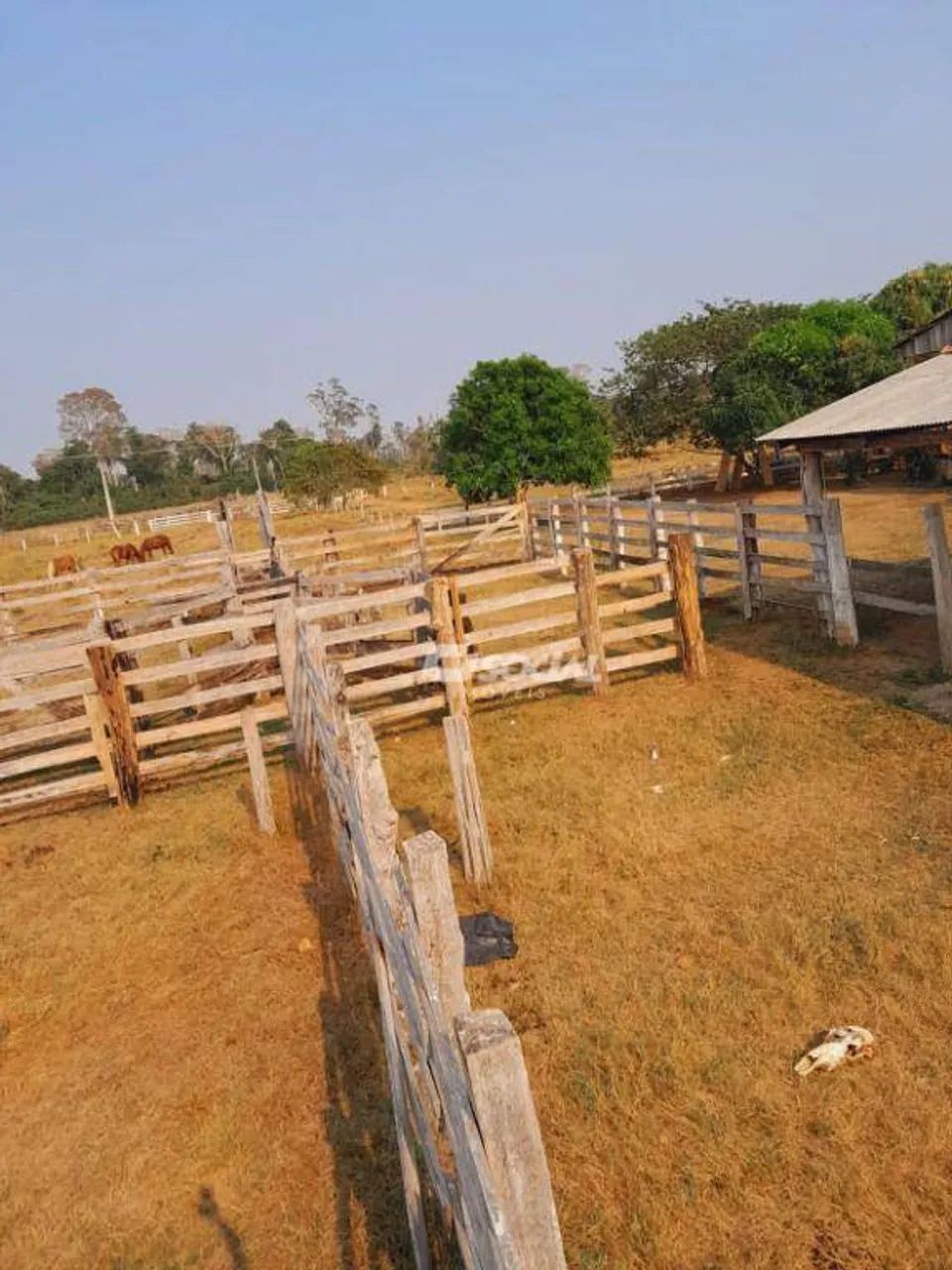 Sítio à venda, 575000 m² por R$ 900.000,00 - Área Rural de Candeias do Jamari - Candeias d - Foto 5
