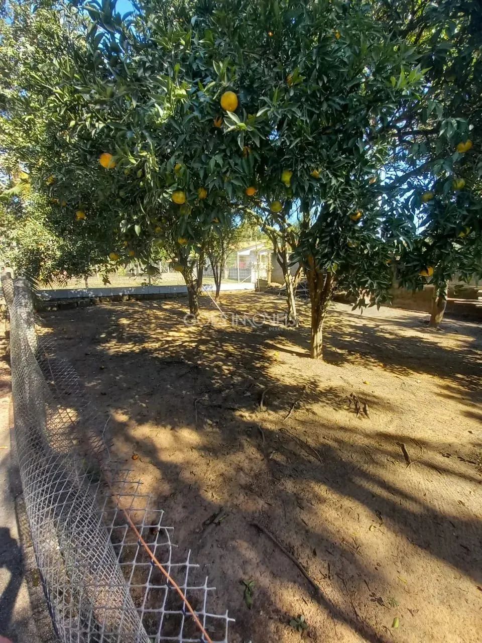 Terreno à venda em Criciúma, Vila Zuleima - Foto 5