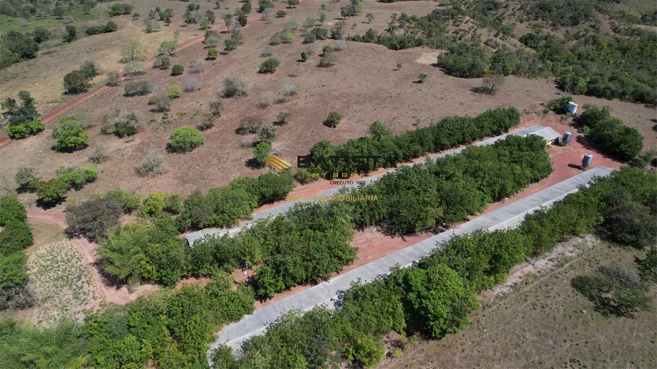 Fazenda 18 Alqueires com Granja, 80 km de Palmas - Foto 5