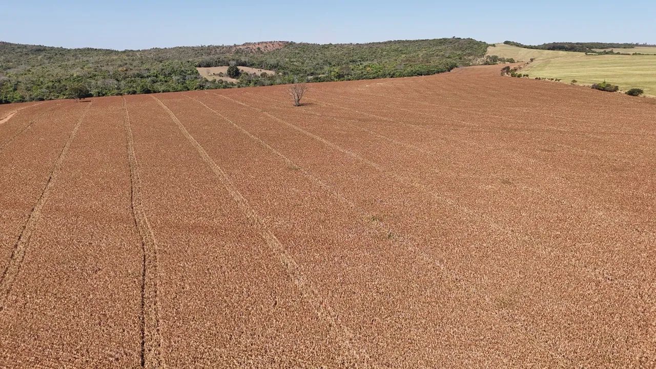 Fazenda px Anápolis  - Foto 4