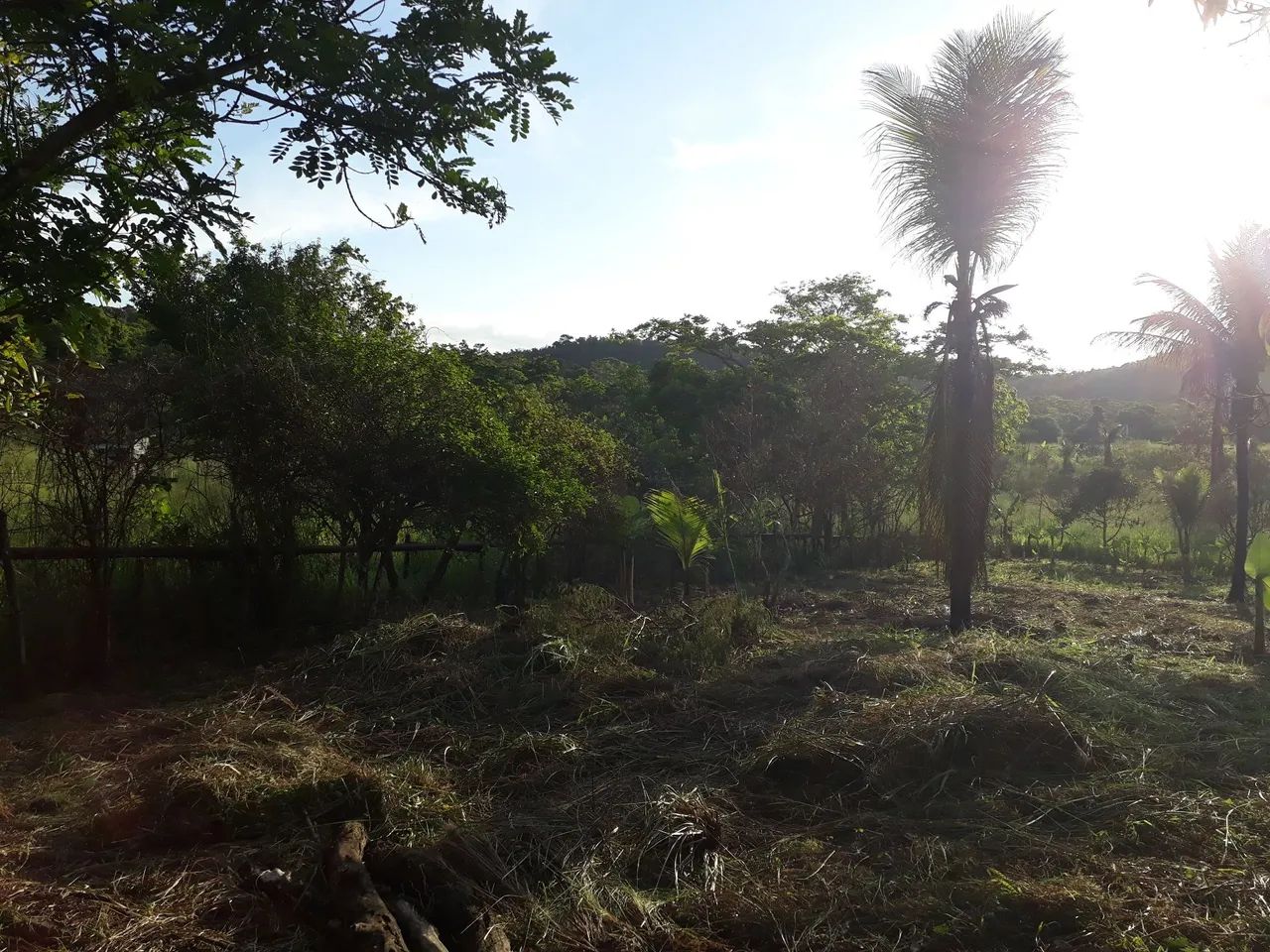 Vende se sítio  - Foto 12