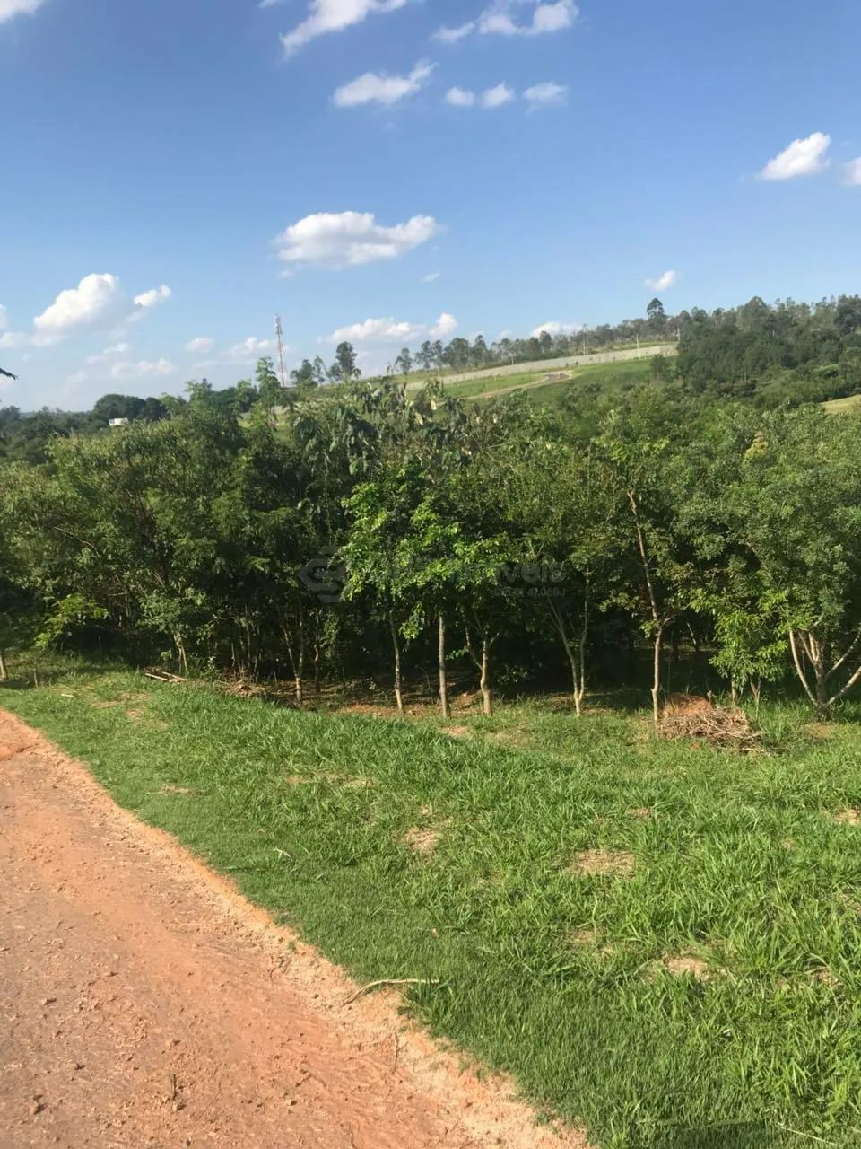 terreno - Loteamento Residencial Pedra Alta (Sousas) - Campinas - Foto 6