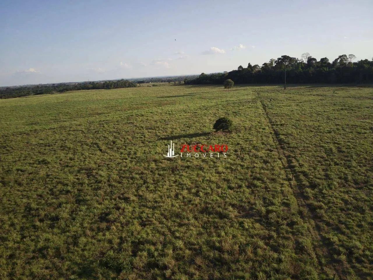 Fazenda com 5 dormitórios à venda, 5577619 m² por R$ 34.000.000,00 - Fazenda Luana - Campo - Foto 4