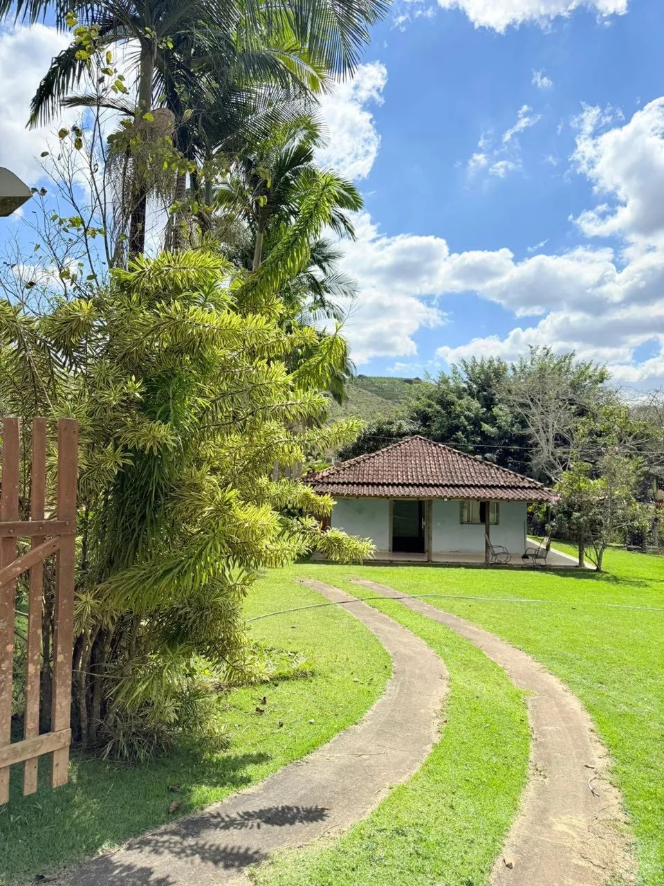 Domingos Martins - Melgacinho  - Foto 5