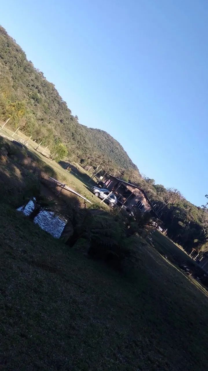 Foto - São José dos Pinhais - Colônia Murici