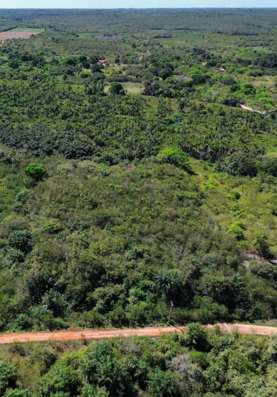Foto - Parnaíba - Reis Veloso