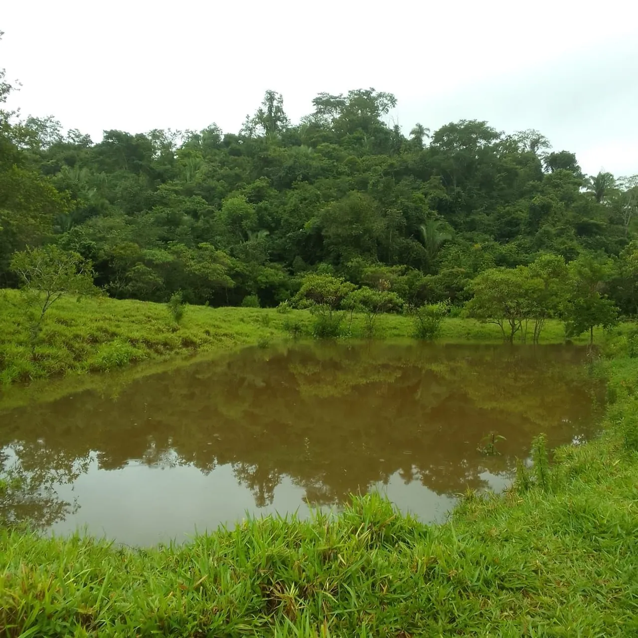 FAZENDA CHAPADA DOS VEADEIROS