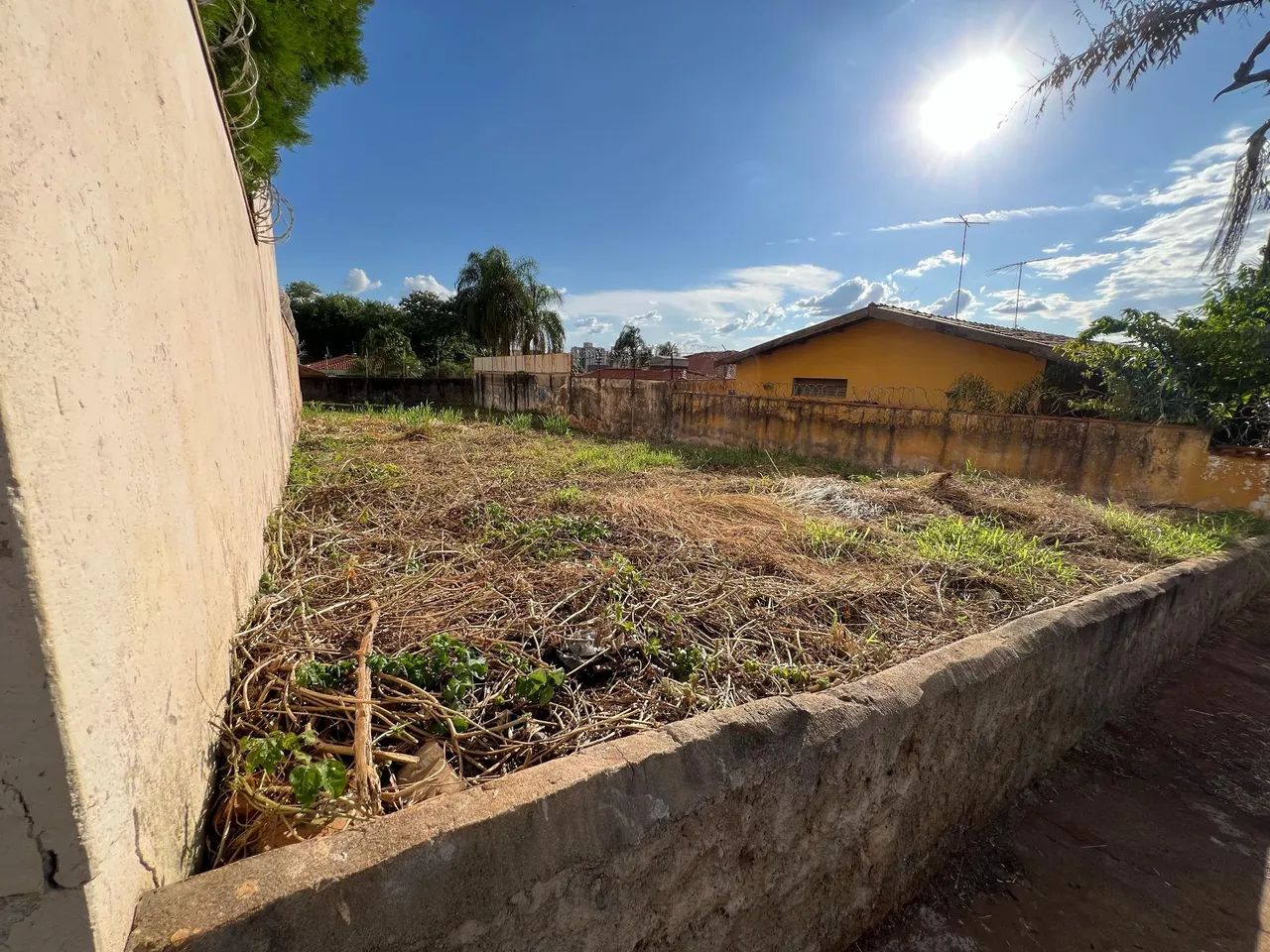 Foto - Ribeirão Preto - Alto da Boa Vista