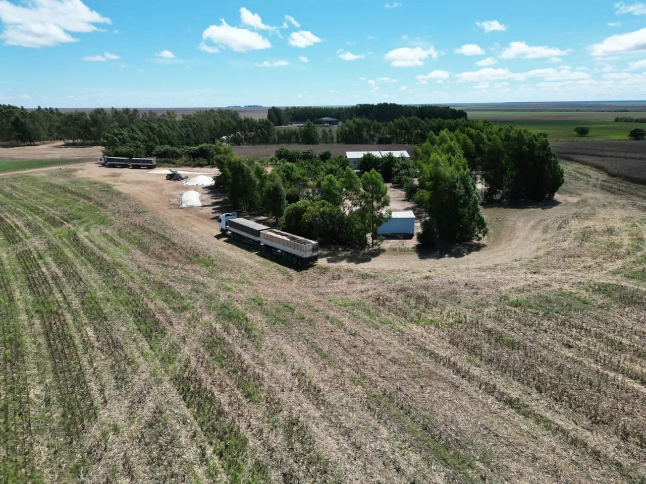 Vende-se Fazenda produzindo
