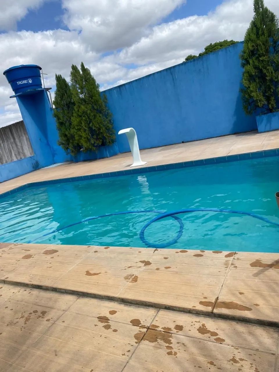 Vendo Sítio com 2 Tarefas na Escritura em São Domingos-se vista pra Serra da Miaba - Foto 2