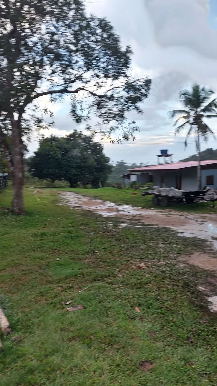 Sítio na AM-010, totalmente equipada R$ 850mil - Foto 11