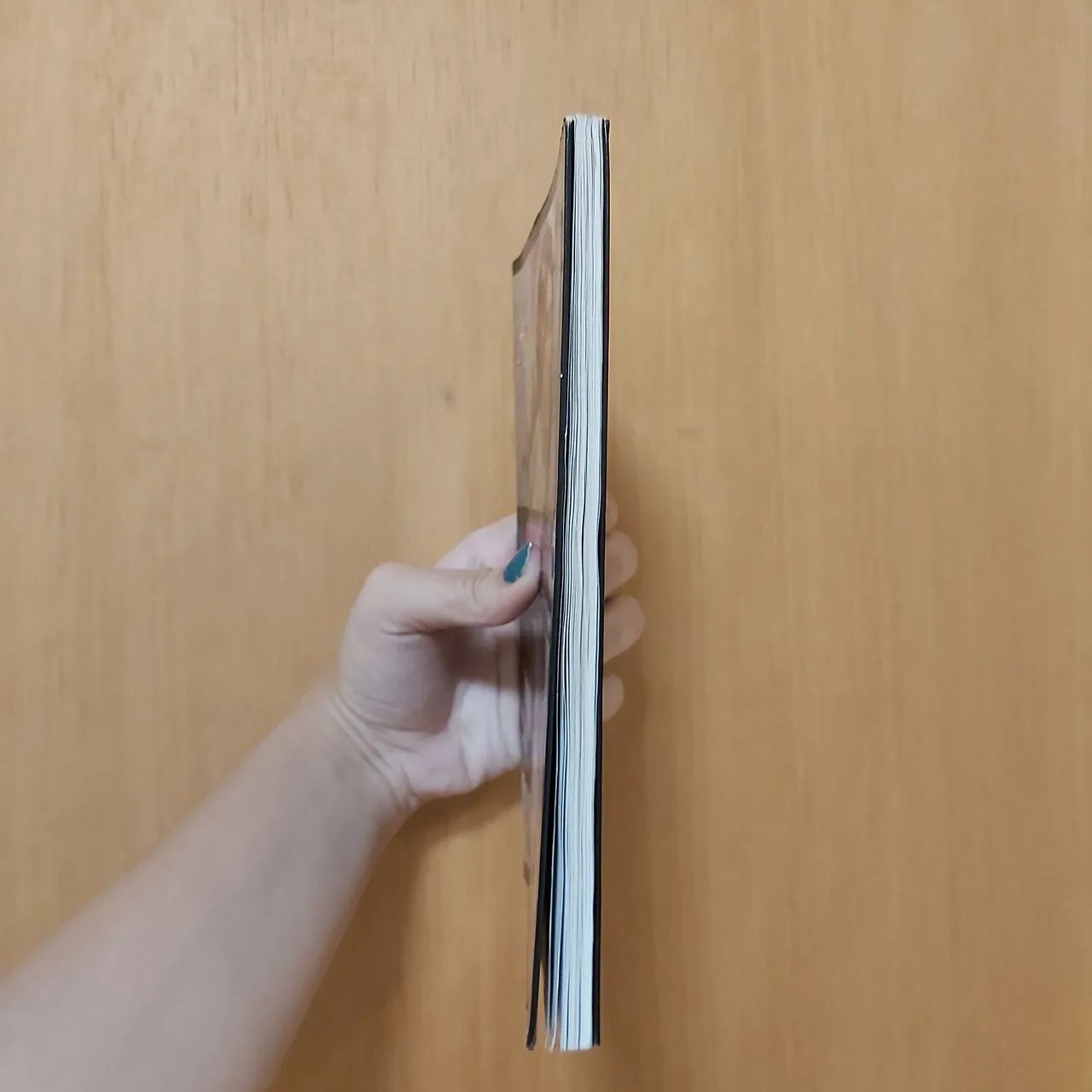 Livro Perseguição - Coleção A Buriti  - Foto 3