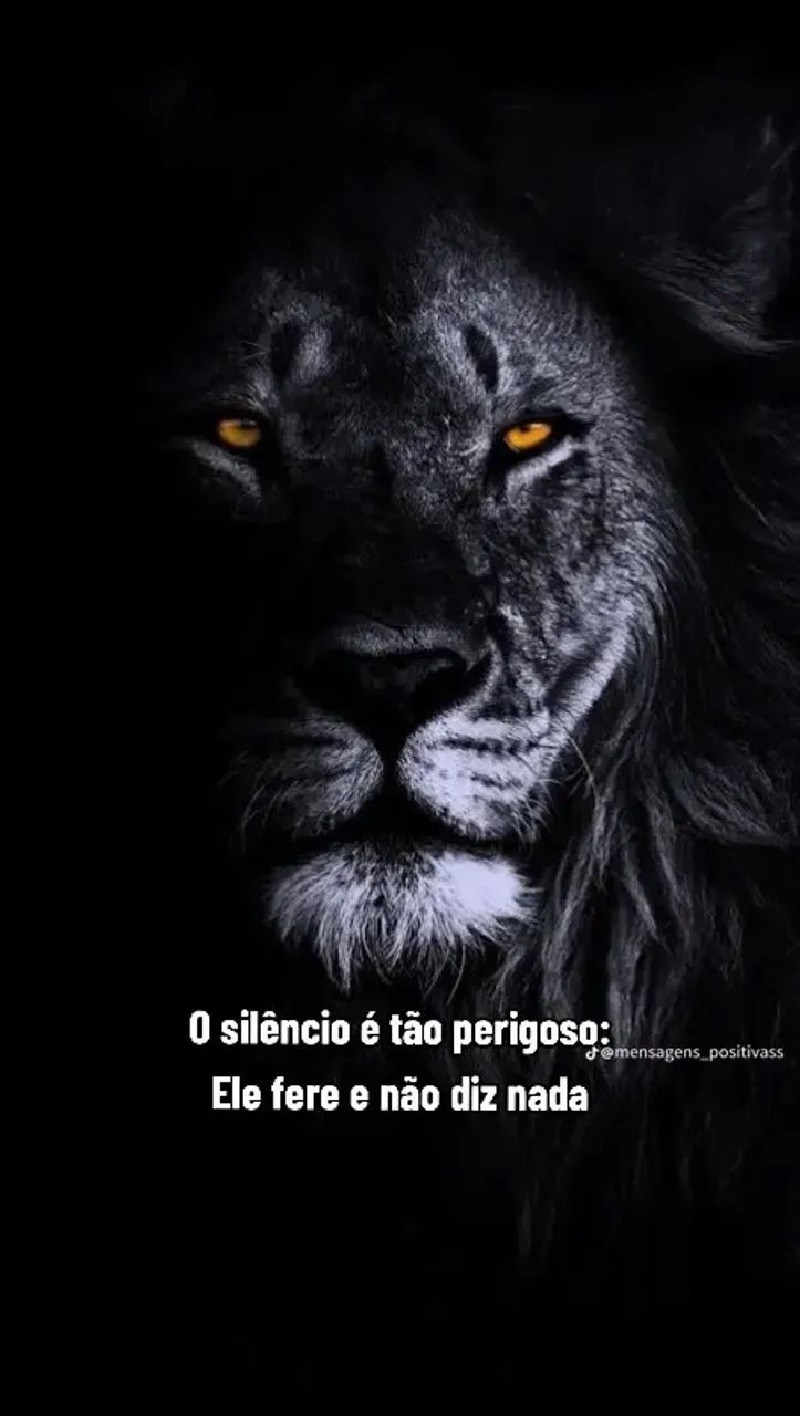 Programador profissional - Foto 2